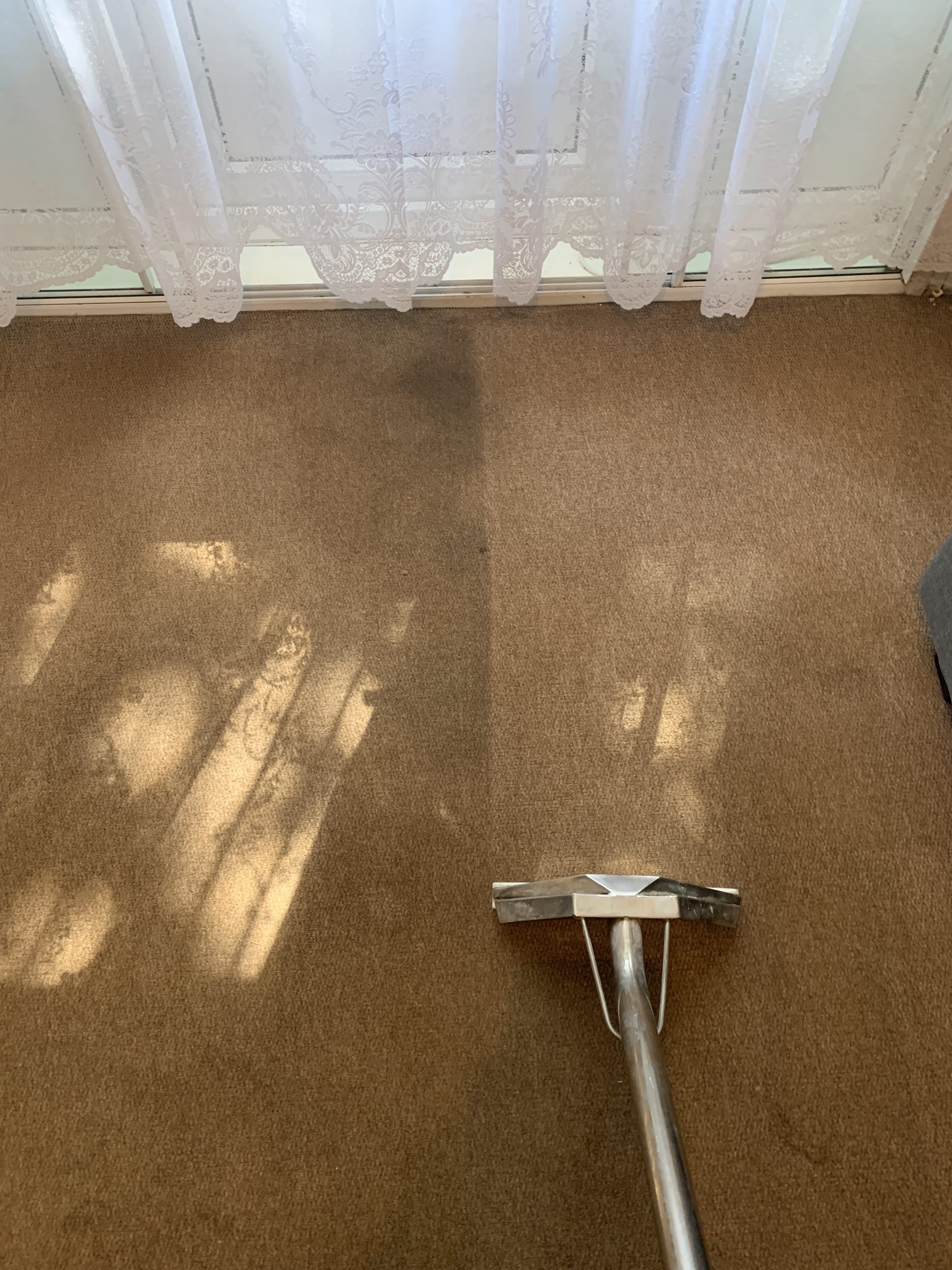 Professional carpet cleaning in Teddington by Supreme Furnishings