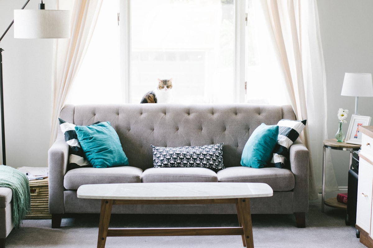 Professional sofa cleaning by Supreme Furnishings in Teddington